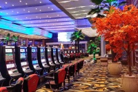 Winport casino uten innskudd