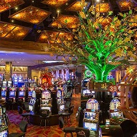 Alle ombord kasinospill online